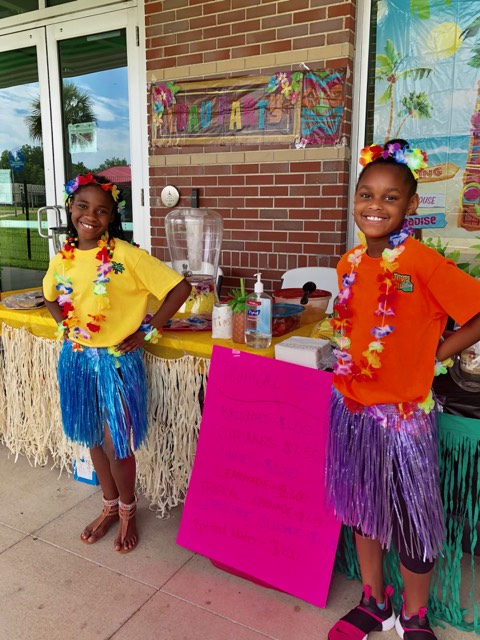 Hula Costume